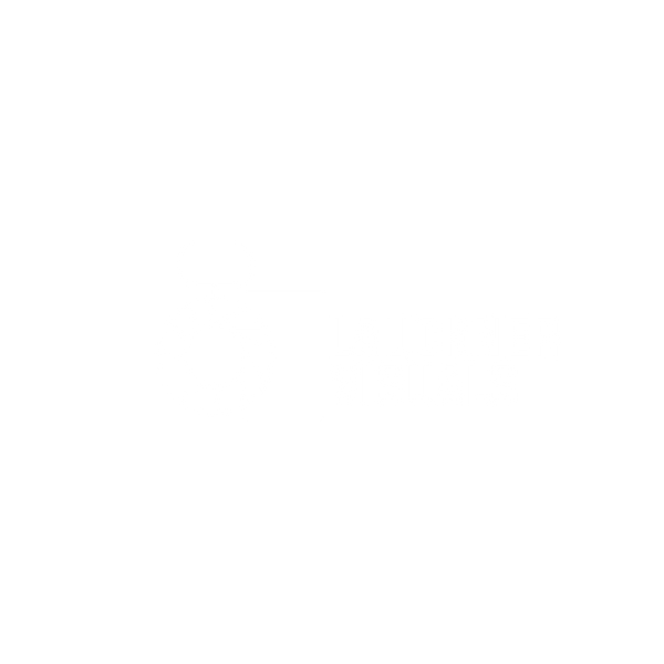 LaucknerVisuals
